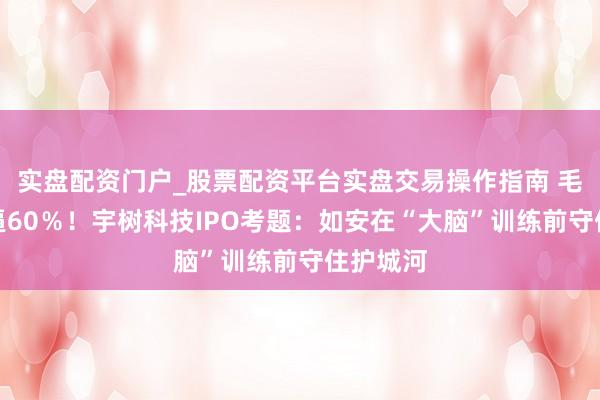 实盘配资门户_股票配资平台实盘交易操作指南 毛利鲠直逼60％！宇树科技IPO考题：如安在“大脑”训练前守住护城河