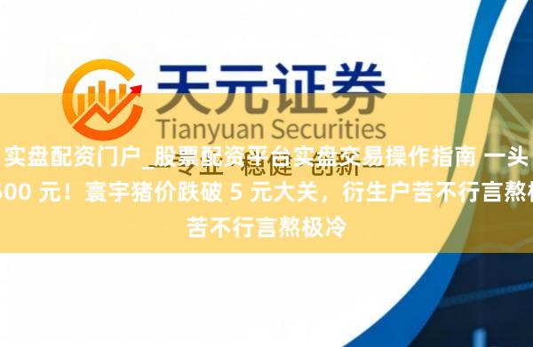 实盘配资门户_股票配资平台实盘交易操作指南 一头亏 500 元！寰宇猪价跌破 5 元大关，衍生户苦不行言熬极冷